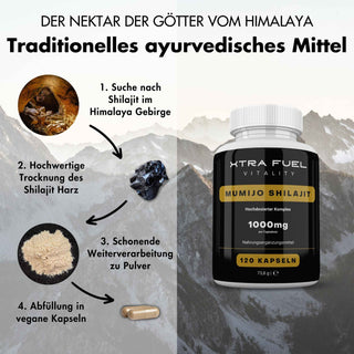 Shilajit (Mumijo) Kapseln mumijo XTRA FUEL   